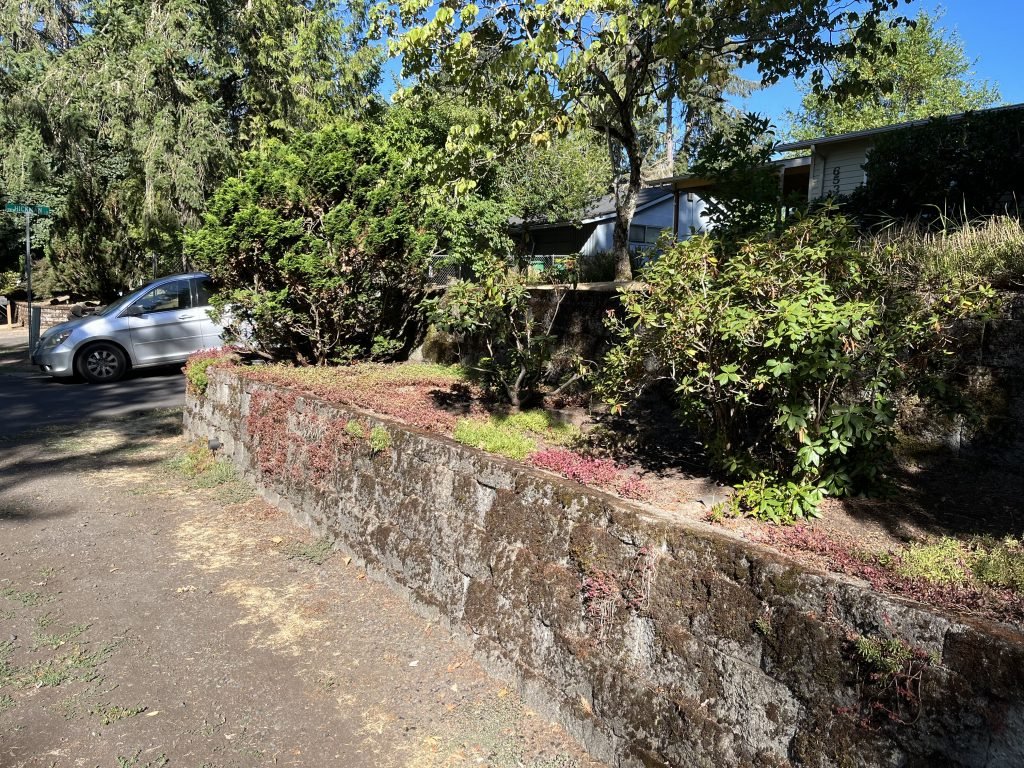 Block wall moss removal pressure washed by Home Cleaning Pros LLC using our eco-friendly cleaning solutions