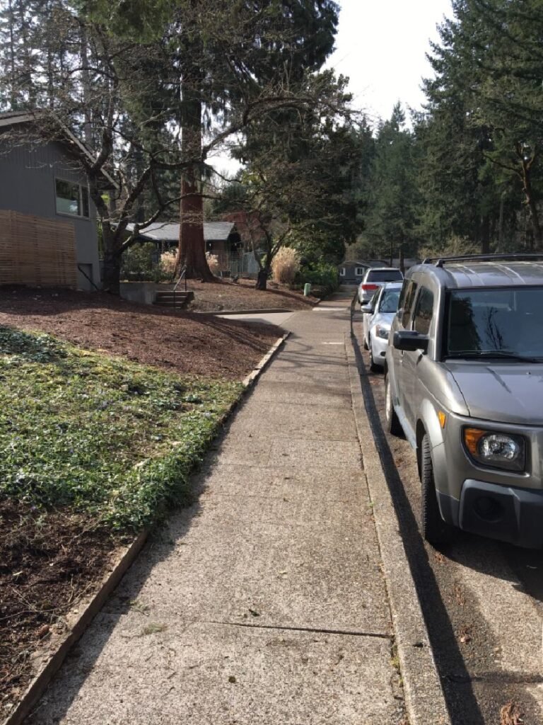 Concrete sidewalks and curbs professionally pressure washed by Home Cleaning Pros LLC using our eco-friendly cleaning solutions